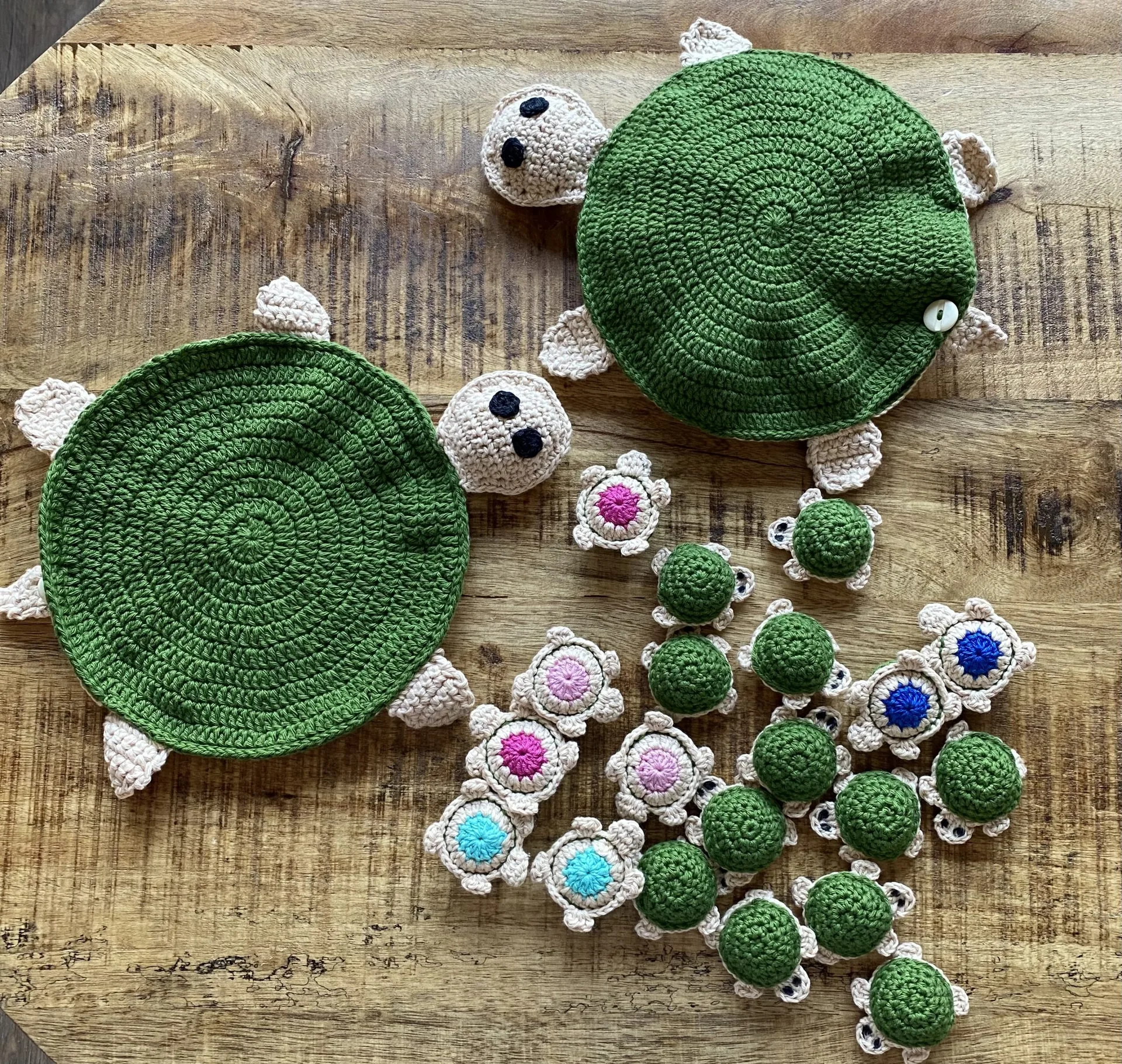 Memoryspel schildpad